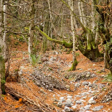 Casa Ronderos - Casas Del Oso *