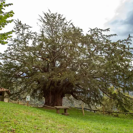 Horská chata Casa Ronderos - Casas Del Oso *